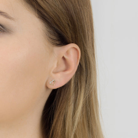 Náušnice zo 14-karátového zlata so zirkónmi sú vynikajúcou voľbou ako darček. Zlaté náušnice sú dodávané s visačkou šperku, ktorá uvádza ryzosť.