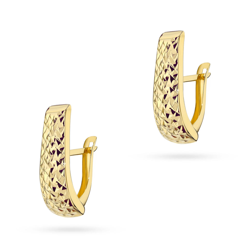 Yellow Gold Diamond-Cut Elongated Earrings | 375 (9k) Yellow Gold English Clasp Earrings
