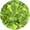 Olivine